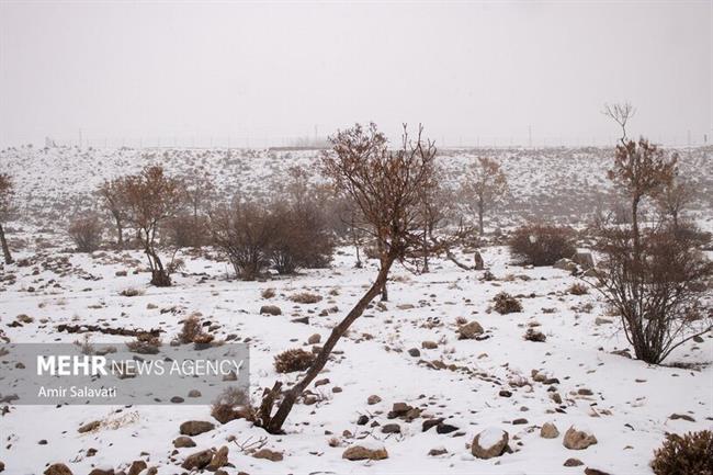 اولین بارش برف زمستانی شهمیرزاد بعد از پاییز بی باران