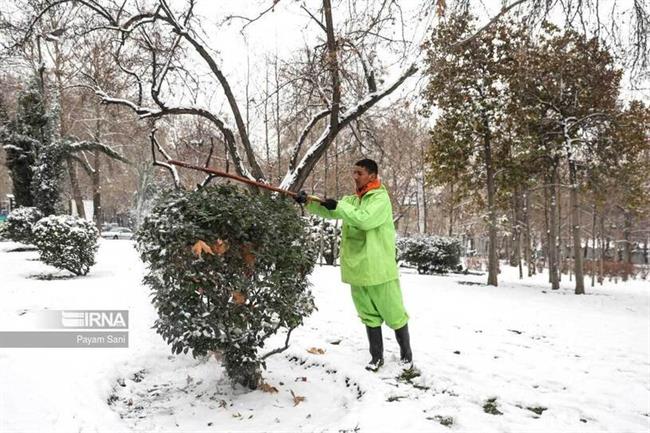 بارش برف در تهران