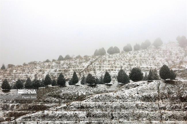 بارش برف در تهران