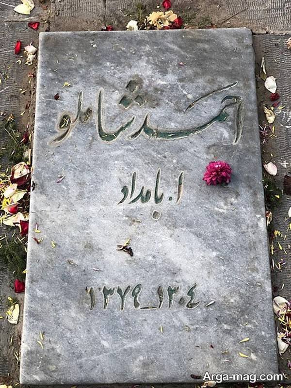 مرور زندگینامه احمد شاملو شاعر شناخته شده ایرانی