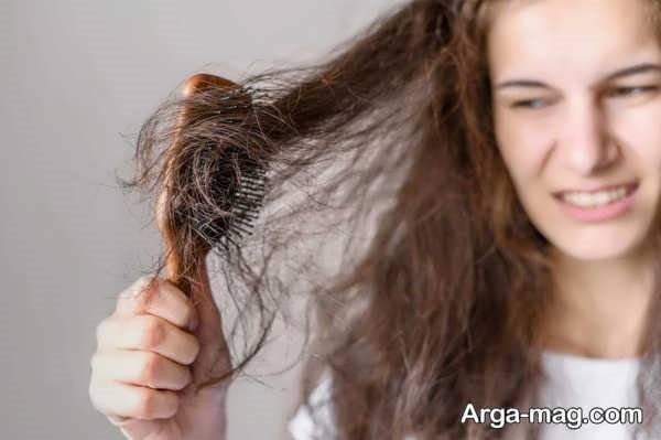 درمان خشکی مو با راهکارهای طلایی و آسان در خانه