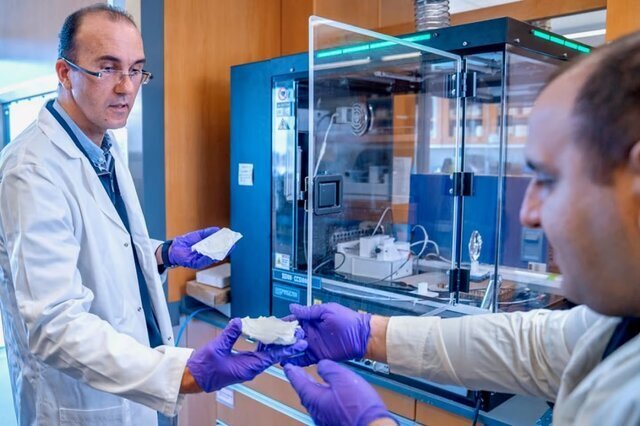 اختراع شگفت‌انگیز دانشمند ایرانی در آمریکا/ پانسمان نابودگر باکتری بدون آنتی‌بیوتیک