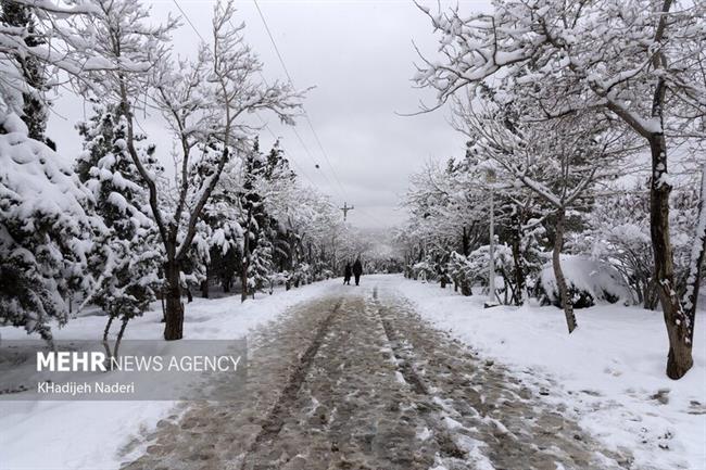 زیبای های اصفهان در یک روز برفی