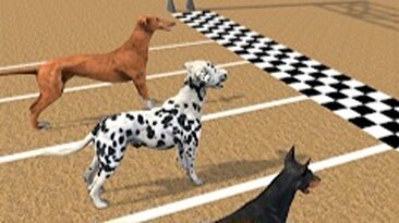 مسابقه جالب سگ‌ها/ ببینید چقدر باهوشه (فیلم)