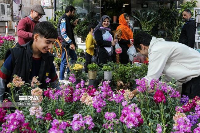 بازار گل و گیاه مشهد در آستانه نوروز