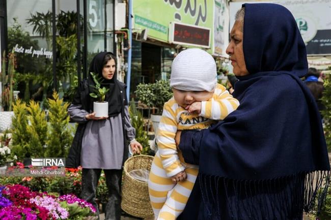 بازار گل و گیاه مشهد در آستانه نوروز