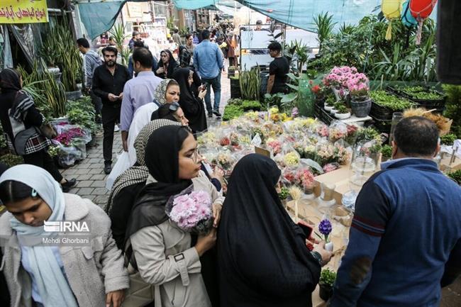 بازار گل و گیاه مشهد در آستانه نوروز