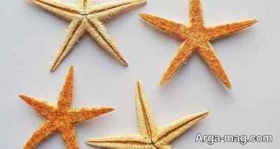 تعبیر ستاره دریایی