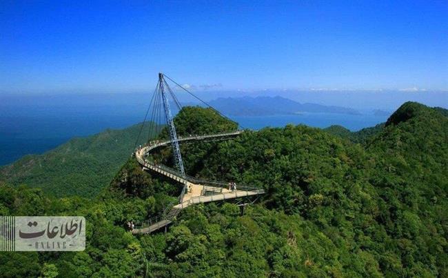 متفاوت‌ترین پل عابر جهان بر فراز جنگل بارانی