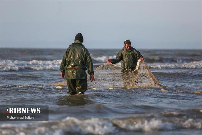 آخرین روز صید ماهی در دریای خزر 