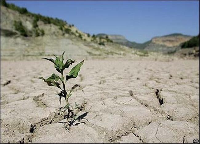 کدام نواحی ایران در معرض خشکسالی شدید هستند؟/ کاهش 11 درصدی بارش‌ها در دهه 1390-1400
