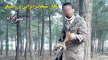 سنجاب ایرانی را در پارک چیتگر شکار می‌کنند؛ سازمان محیط زیست خواب است؟! (فیلم)