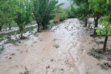 خسارت 345ملیاردی سیلاب به بخش کشاورزی قزوین