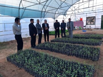 آیین افتتاح و بهره‌برداری 500 متر گلخانه آموزشی در امیرآباد