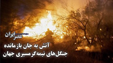 آخرین جنگل‌های نیمه‌گرمسیری جهان در آتش می‌سوزد/ بلایی که هر سال سر پارک ملی کرخه می‌آید (فیلم)