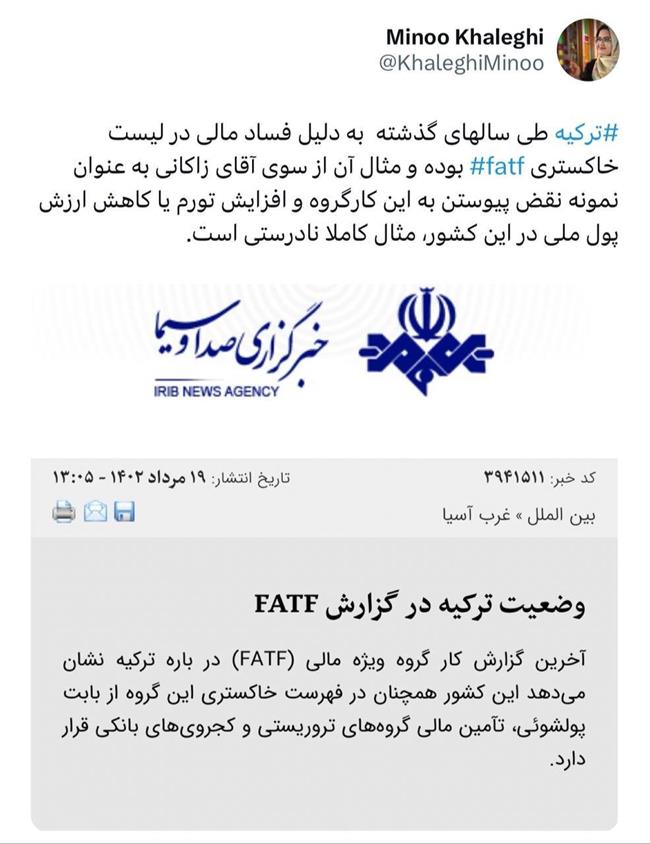 ادعای زاکانی بازهم تکذیب شد /اینبار؛ FATF و ترکیه