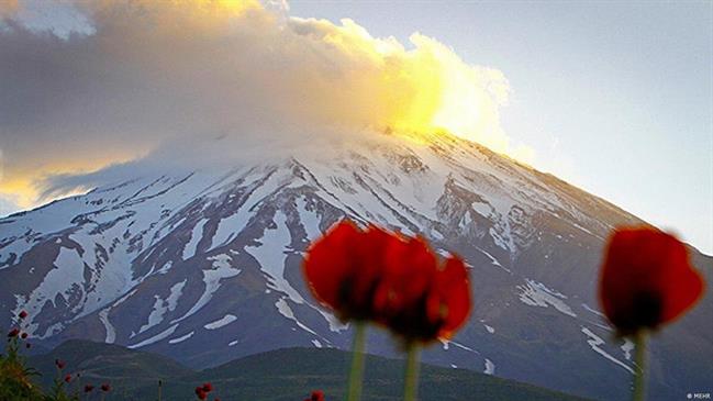 زیباترین عکس‌ها از دیو سپید