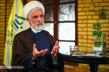 مجید انصاری: بخشی از نسل Z قانع شد و به پزشکیان رأی داد /اصولگرایان از سرمایه 13 میلیون رأی برای کمک به پزشکیان استفاده کنند