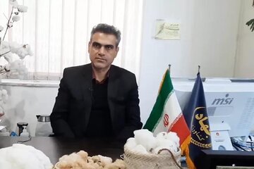 کشت سویا در 8 هزار هکتار از اراضی گلستان