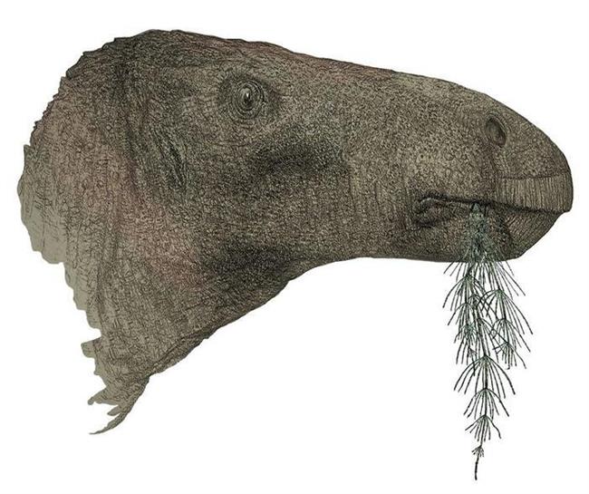 کشف بزرگترین دایناسور یک قرن اخیر در انگلیس/ حیوان غول‌پیکری که گله‌ای می‌زیسته است!