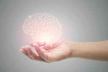 4 راهکار مهم برای حفظ سلامت مغز