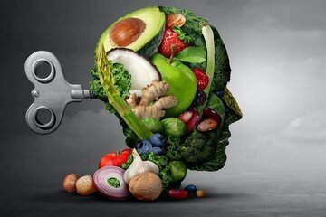 معرفی 5 ماده غذایی برای بهبود عملکرد مغز