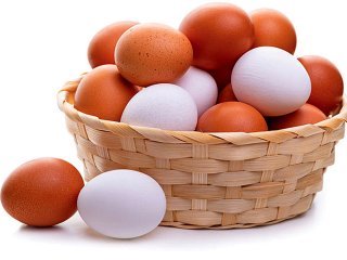 چرا تخم مرغ‌ها رنگ‌های متفاوتی دارند؟