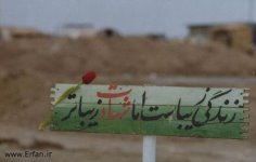 شهادت بهترین عطای الهی!