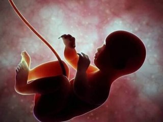 آمار عجیب مسئول وزارت بهداشت درباره سقط جنین در کشور