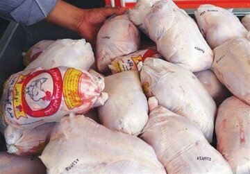 1800 کیلوگرم گوشت مرغ غیربهداشتی در زنجان معدوم شد