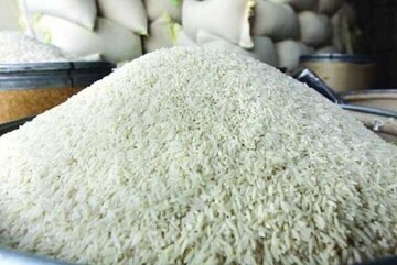 اعلام ممنوعیت واردات برنج / قیمت برنج داخلی اعلام شد
