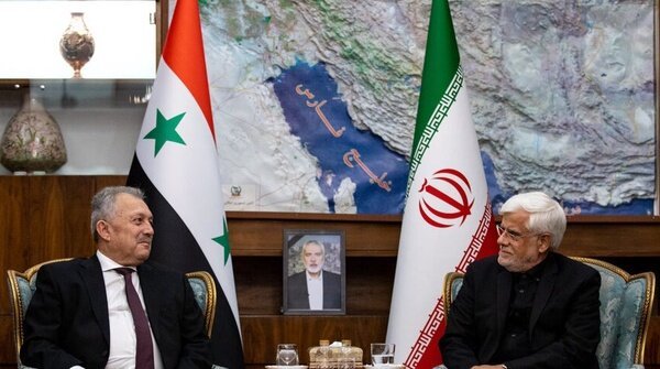 عکسی از دیدار نخست‌وزیر سوریه با محمدرضا عارف