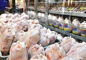 کاهش قیمت مرغ در بازار / افزایش تولید جواب داد