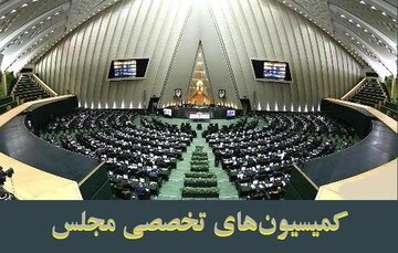 حضور 3 عضو کابینه در بهارستان/ ابعاد ترور اسماعیل هنیه در کمیسیون امنیت ملی مجلس بررسی می شود