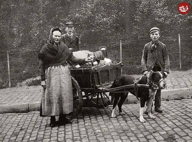 گاری‌های «سگی»؛ قاب‌هایی دیدنی از اروپای قرن نوزدهم