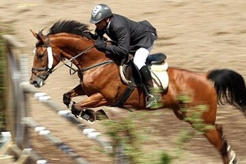 یک ایرانی کلانتر مسابقات پرش اسب المپیک
