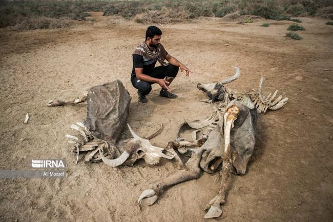 خوزستان ؛ منطقه رُفیع در خطر کم آبی 