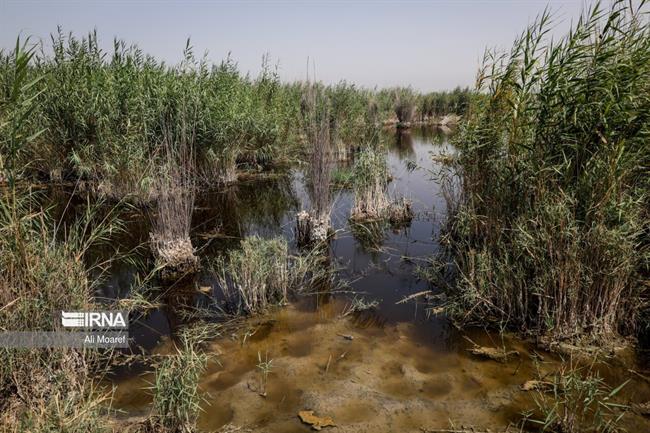 خوزستان ؛ منطقه رُفیع در خطر کم آبی 