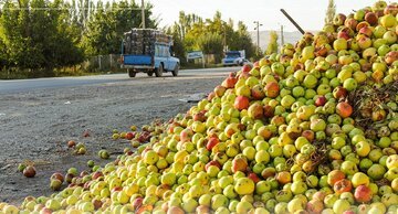 با متخلفان انباشت سیب در محورهای ارتباطی استان آذربایجان‌غربی برخورد می‌شود