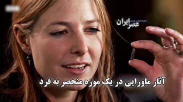 کشف مجموعه پر رمز و راز اشیاء تاریخی در موزه هرمیتاژ / اشیائی که با طلسم و جهانی دیگر در ارتباط بودند (فیلم)