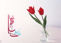 پیوند دریای جمال فاطمی و جلال علوی