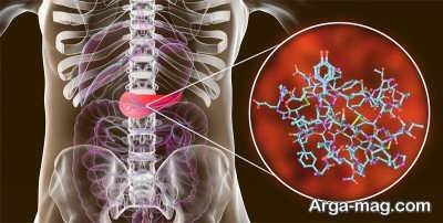 انسولین چیست؟