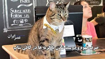 دارندگان آیفون 7 پس از سال‌ها از اپل غرامت دریافت می‌کنند