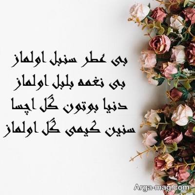 اشعار زیبا ترکی عاشقانه