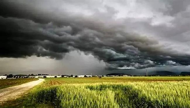 سارقان و خوابگاه‌های دانشجویی : آنچه دانشجویان باید برای نجات جان‌شان بدانند / آنچه مسئولان دانشگاه باید می‌دانستند! (فیلم)