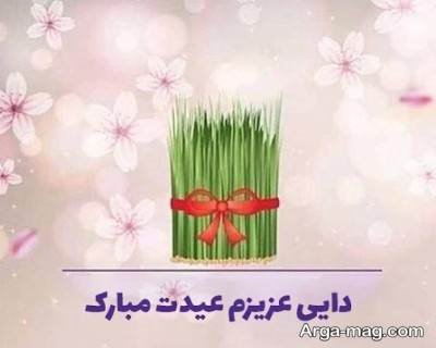 تبریک عید نوروز به دایی با انواع پیام های رسمی و صمیمی