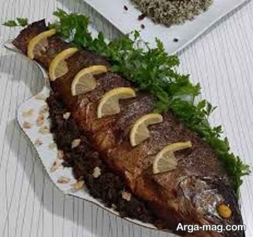 دیزاین ویژه ماهی شکم پر