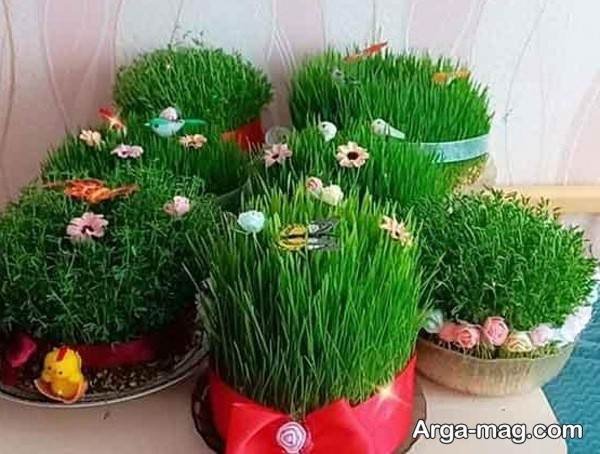 تزیین سبزه عید 1404 ساده