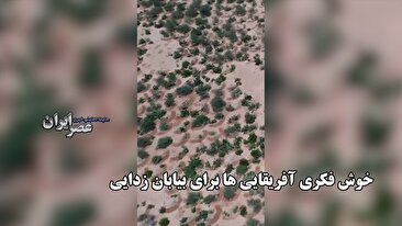 خوش فکری آفریقایی ها برای بیابان زدایی / حفره‌های هلالی، کلید بازسازی میلیون‌ها هکتار زمین بایر (فیلم)