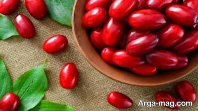 دیدن رویای زغال اخته